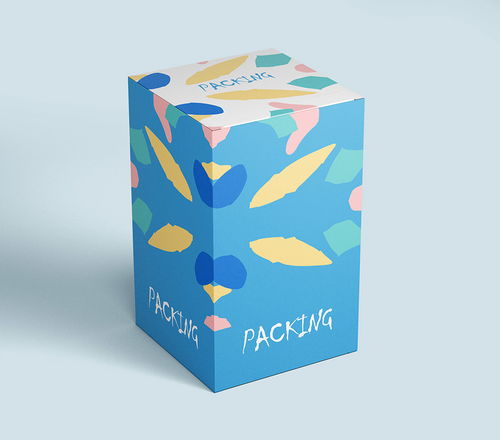 时尚产品设计纸盒包装盒礼品袋纸袋vi样机效果图提案 psd源文件 淘宝网 包装样机