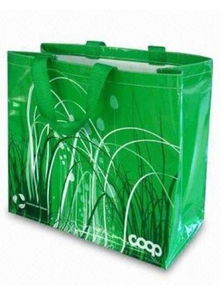 无纺布袋价格与供应商解析 以雄县泰祥无纺布包装制品厂为例